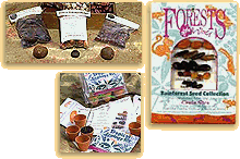 seed kits from Costa Rica