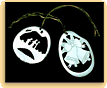 Christmas ornaments carved from tagua nuts