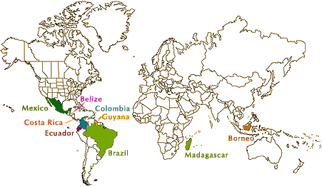 world map
